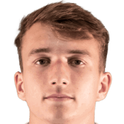 Миха Търдан